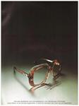 Silhouette Brillen 1973 0.jpg